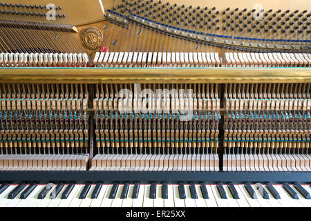 L'Europa, Germania, aperto pianoforte del produttore, Helmholz fabbricato nei primi anni del XX secolo. Euopa, Deutschland, geoeff Foto Stock