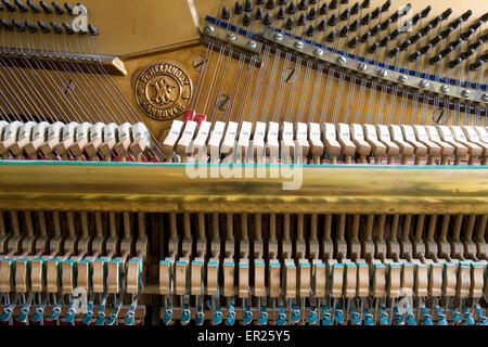 L'Europa, Germania, aperto pianoforte del produttore, Helmholz fabbricato nei primi anni del XX secolo. Euopa, Deutschland, geoeff Foto Stock