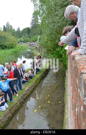 Loose village vicino a Maidstone, Kent, Regno Unito. 25 Maggio, 2015. L annuale famoso villaggio allentati Duck gara si svolge su lunedì festivo. Le anatre di plastica in gara scendono allentato Brooks, il flusso che scorre attraverso il villaggio, guardato dalla gente del luogo come pure i visitatori stranieri - Olandese, Spagnolo e il ceco sono stati ascoltati nella folla Credito: PjrNews/Alamy Live News Foto Stock