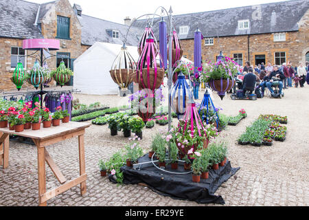 Lamporthall, UK. 25 Maggio, 2015. Lunedì festivo. Lamporthall. Festival della vita di campagna del Northamptonshire. Pur essendo un giorno nuvoloso c'era un sacco di visitatori godendo l'evento. Il blocco stabile whiched alloggiate le bancarelle di artigiani. Foto Stock