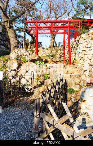 Due porte torii vermiglio che conducono al piccolo santuario Shintoista su gradini di pietra che conducono attraverso le mura di pietra di Ishigaki al castello di Hamamatsu in Giappone Foto Stock