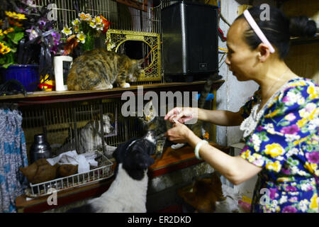 La signora Xie, si prende cura di cani e gatti di casa. Fengduan Hu, 56 e Yan Xie, 45, ha adottato 41 cani e gatti in casa loro a Chengdu Foto Stock