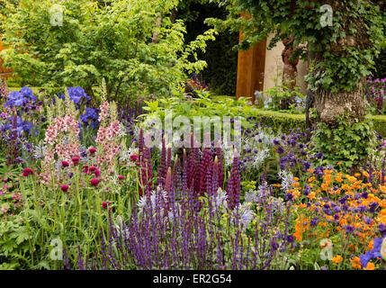 Un territorio densamente piantati sezione della Morgan Stanley Città Sane Giardino vincitore di una medaglia d oro al Chelsea Flower Show Foto Stock