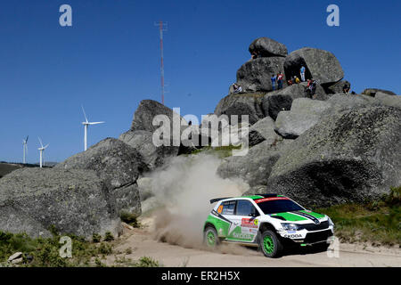 Fafe, Braga, Portogallo. Xxiv Maggio, 2015. Stadio 16 e ultima tappa del WRC Rally del Portogallo. Pontus Tidemand Credito: Azione Sport Plus/Alamy Live News Foto Stock