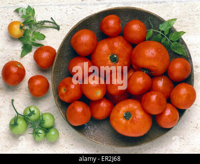 Teller, dettaglio Tomaten, Lycopersicon esculentum, Still Life, Strauchtomaten, Liebesapfel, Paradiesapfel, Ernaehrung, Gesund, Vi Foto Stock