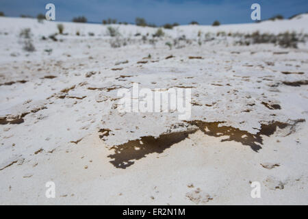 Asciugare la sabbia del deserto in Whitesands New Mexico Foto Stock