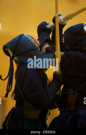 Tokyo, Giappone. 26 Maggio, 2015. Membri del GB Kendo Team training in Tokyo, Giappone, per il XVI World Kendo campionati che si terrà questo fine settimana potrebbero 30-31st. Credito: Peter Blake/Alamy Live News Foto Stock