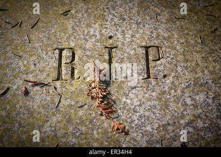 Europa, Deutschland, Koeln, auf dem Melatenfriedhof, Grabplatte mit der Inschrift R.I.P. - Riposa in pace, Ruhe in Frieden. - Foto Stock