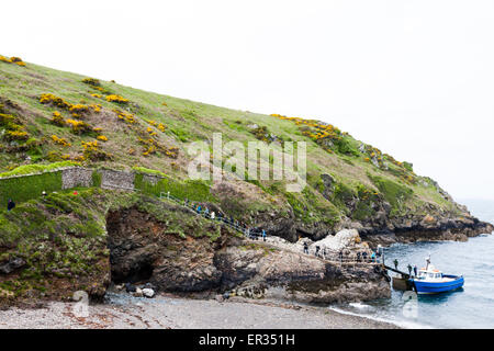Pembrokeshire, Wales, Regno Unito. Xxiv Maggio, 2015. Turisti di ritorno da puffin guardando su isola Skomer sbarcare la principessa Dale. Biologi hanno annunciato un numero record di Atlantic i puffini vivono su Skomer. Oltre 21.000 persone sono state contate sull'isola. I puffini può essere visitato su Skomer da maggio a metà luglio, con 500 persone al giorno in grado di visitare la piccola isola al largo della costa occidentale del Galles. Fotografo commento: "Mi è stato fotografare i puffini su Skomer per anni e non hanno mai cessare di intrattenere, challenge e infuriate. Credito: Dave Stevenson/Alamy Live News Foto Stock