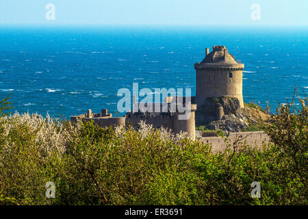 Francia Bretagna, Baia de la Fresnaye, Fort La Latte Rocca del XIV secolo, suggestiva costruzione a picco sul mare che per le sue caratteristiche è stata scelta come location per molti film compresi i Vichinghi nel 1958 e anche i video musicali. Foto Stock