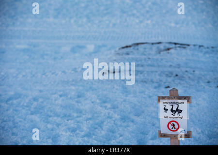 Ny-Aelesund, Norvegia. 09Apr, 2015. Un segno di avvertimento di spazi riservati per gli uccelli migratori si vede poco prima della mezzanotte al Kings Bay stazione di ricerca su Spitsbergen in Ny-Aelesund, Norvegia, 09 aprile 2015. Gli scienziati con l'Istituto Alfred Wegener lavorare con il francese Istituto polare Paul Emile Victor (IPEV) nei campi di biologica, geologica e Meteorological Research presso l'AWIPEVTedesco-francese arctic base di ricerca. Foto: Jens Buettner/dpa/Alamy Live News Foto Stock