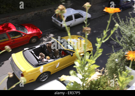 DEU, la Germania, la zona della Ruhr, Wetter presso il fiume Ruhr, auto nozze, Ford Mustang cabriolet, sposa. DEU, Deutschland, Ruhrgebiet, abbiamo Foto Stock