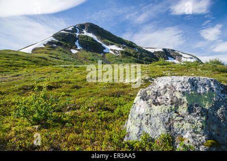 Norwegian picco di montagna coperta di neve e in estate il fogliame alpino Foto Stock