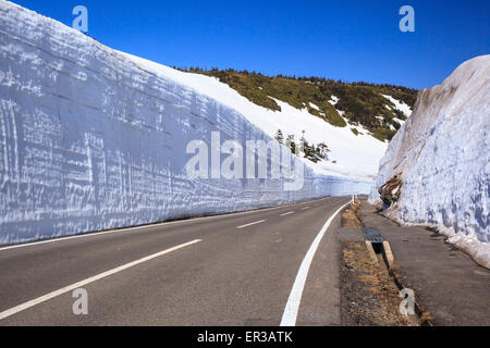 Aspite Hachimantai Linea, corridoio di neve, AkitaIwate, Giappone Foto Stock