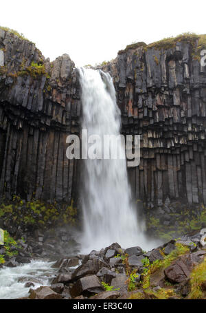 Svartifoss cascata, Islanda Foto Stock