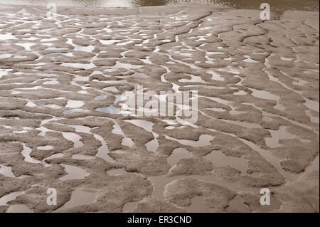 Meandering Pool e pozzanghere a sinistra in limo e fango in fiume Thames Estuary a Erith a bassa marea Foto Stock