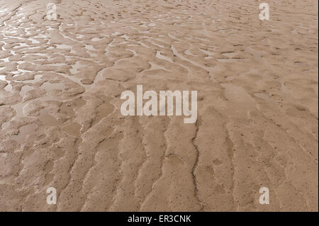 Meandering Pool e pozzanghere a sinistra in limo e fango in fiume Thames Estuary a Erith a bassa marea Foto Stock