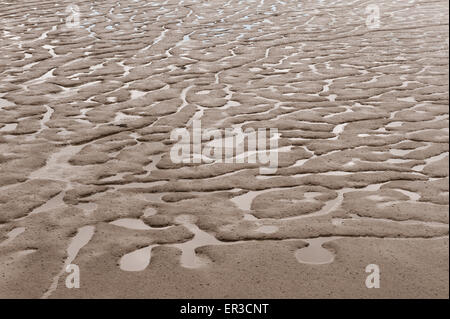 Meandering Pool e pozzanghere a sinistra in limo e fango in fiume Thames Estuary a Erith a bassa marea Foto Stock