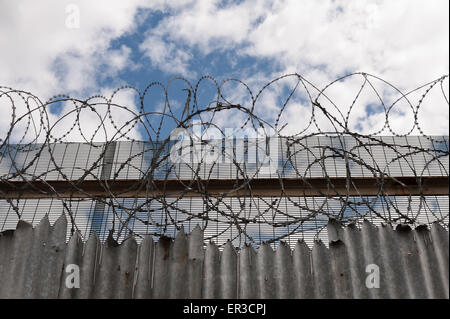 Galvanizzata con livello di protezione alto filo di rasoio e fili spinati deterrente per rallentare l arrampicata su pareti con massa di picchi ondulato Foto Stock