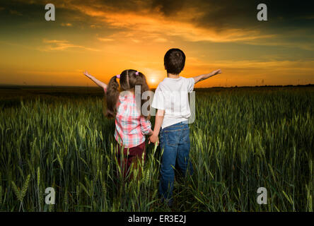 I bambini in un campo al tramonto Foto Stock