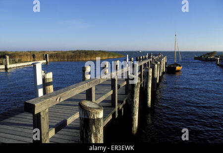 DEU, Germania, Meclemburgo-Pomerania, Ahrenshoop presso il Mar Baltico, Althagen porta all'Saaler Bodden. DEU, Deutschland Foto Stock