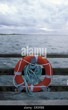 DEU, Germania, Meclemburgo-Pomerania, Wustrow presso il Mar Baltico, la vita della cinghia. DEU, Deutschland, Meclenburgo-Pomerania Occidentale, Os Foto Stock