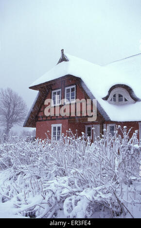 DEU, Germania, Meclemburgo-Pomerania, inverno in Ahrenshoop-Niehagen presso il Mar Baltico, casa in legno e muratura con con il tetto di paglia Foto Stock