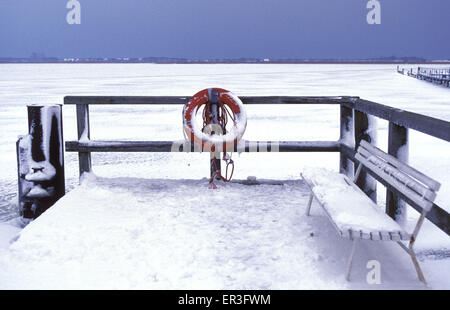 DEU, Germania, Meclemburgo-Pomerania, Wustrow presso il Mar Baltico, l'inverno al porto presso il Saaler Bodden. DEU, Deutschla Foto Stock