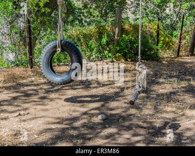 Una corda swing e un pneumatico swing è tenuto in posizione appesa a un albero mediante una fune di grandi dimensioni. Foto Stock