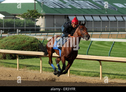 Louisville, KY, Stati Uniti d'America. 26 Maggio, 2015. Maggio 26, 2015 American Faraone (cavalcato da Martin Garcia) breezed quattro furlongs in :48, il quinto più veloce di 22 opere che la mattina. I suoi gruppi sono stati :12.2, :24.0, :35,8, con 4F in :48 piana. Egli galoppò fuori 5 furlongs in 1:00.4 e 6 furlongs in 1:13.2. Egli vola a New York il 2 giugno. Credito: Maria M. Meeke/ESW/CSM/Alamy Live News Foto Stock