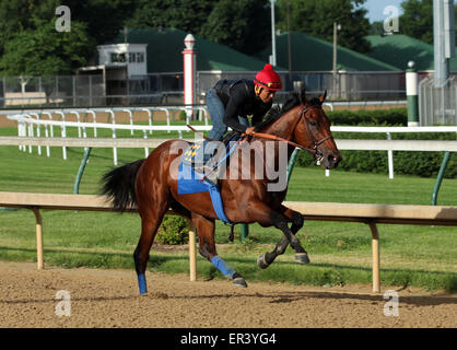 Louisville, KY, Stati Uniti d'America. 26 Maggio, 2015. Maggio 26, 2015 American Faraone (cavalcato da Martin Garcia) breezed quattro furlongs in :48, il quinto più veloce di 22 opere che la mattina. I suoi gruppi sono stati :12.2, :24.0, :35,8, con 4F in :48 piana. Egli galoppò fuori 5 furlongs in 1:00.4 e 6 furlongs in 1:13.2. Egli vola a New York il 2 giugno. Credito: Maria M. Meeke/ESW/CSM/Alamy Live News Foto Stock