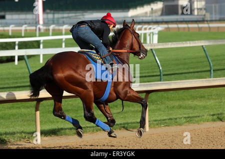 Louisville, KY, Stati Uniti d'America. 26 Maggio, 2015. Maggio 26, 2015 American Faraone (cavalcato da Martin Garcia) breezed quattro furlongs in :48, il quinto più veloce di 22 opere che la mattina. I suoi gruppi sono stati :12.2, :24.0, :35,8, con 4F in :48 piana. Egli galoppò fuori 5 furlongs in 1:00.4 e 6 furlongs in 1:13.2. Egli vola a New York il 2 giugno. Credito: Maria M. Meeke/ESW/CSM/Alamy Live News Foto Stock