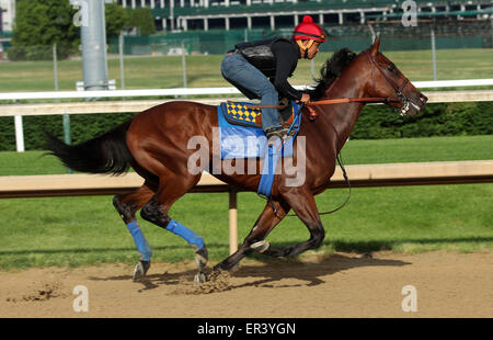 Louisville, KY, Stati Uniti d'America. 26 Maggio, 2015. Maggio 26, 2015 American Faraone (cavalcato da Martin Garcia) breezed quattro furlongs in :48, il quinto più veloce di 22 opere che la mattina. I suoi gruppi sono stati :12.2, :24.0, :35,8, con 4F in :48 piana. Egli galoppò fuori 5 furlongs in 1:00.4 e 6 furlongs in 1:13.2. Egli vola a New York il 2 giugno. Credito: Maria M. Meeke/ESW/CSM/Alamy Live News Foto Stock