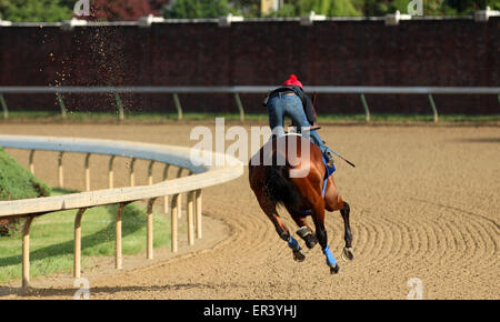 Louisville, KY, Stati Uniti d'America. 26 Maggio, 2015. Maggio 26, 2015 American Faraone (cavalcato da Martin Garcia) breezed quattro furlongs in :48, il quinto più veloce di 22 opere che la mattina. I suoi gruppi sono stati :12.2, :24.0, :35,8, con 4F in :48 piana. Egli galoppò fuori 5 furlongs in 1:00.4 e 6 furlongs in 1:13.2. Egli vola a New York il 2 giugno. Credito: Maria M. Meeke/ESW/CSM/Alamy Live News Foto Stock