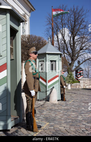 La guardia al Castello di Budapest Foto Stock