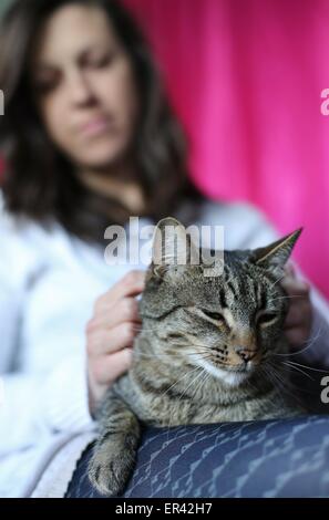 Una giovane donna come accarezzare un gatto sul suo grembo. Foto Stock