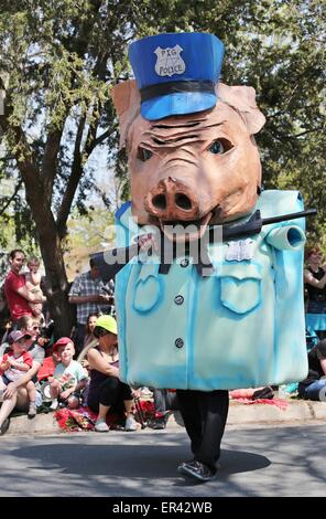 Una persona vestita di un suino costume di polizia presso il giorno di maggio parade di Minneapolis, Minnesota. Foto Stock