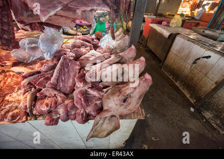 Teste di suini per la vendita nel Psar Cha Vecchio Mercato a Siem Reap, Cambogia Foto Stock