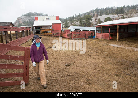 Virginia Dale, Colorado - Abbazia di San Walburga, dove le suore Domenicane pregare ed eseguire un ranch di bestiame. Foto Stock