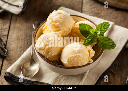 Organico in casa di gelato alla vaniglia con la menta Foto Stock