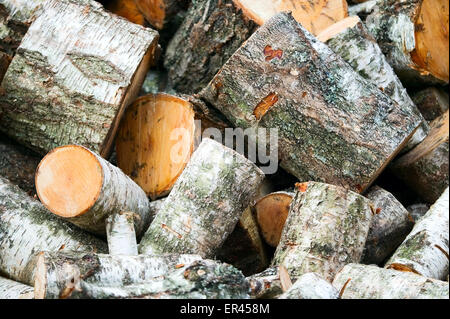 La texture realizzata dal taglio di legno legna da ardere, sfondo Foto Stock