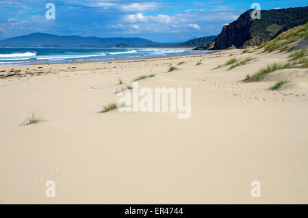 Moorina Bay e Mars Bluff sull'Isola di Bruny, con una vista al collo di Bruny Foto Stock