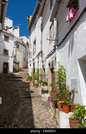 Castelo de Vide Alentejo Portogallo gradino ripida strada di ciottoli con case bianche e vasi di fiori in primo piano Foto Stock