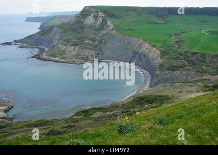 Chapman's Pool & Houns-tout Cliff, visto dalla collina Emmetts, Worth Matravers, Dorset Foto Stock