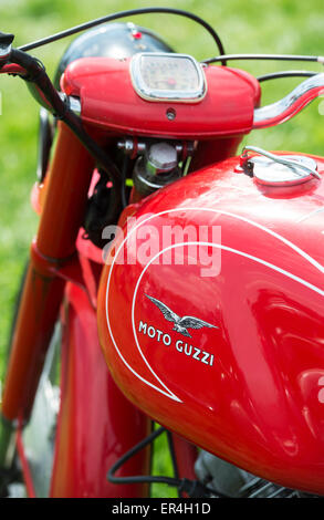 Anni Cinquanta Moto Guzzi Lodola Gran Turismo motocicletta Foto Stock