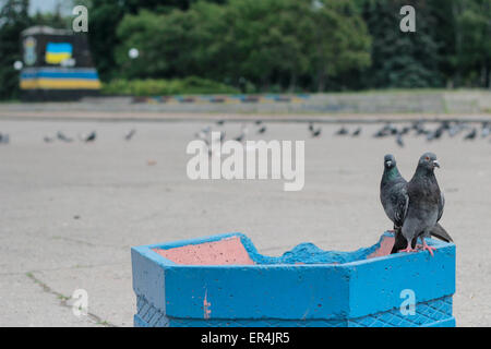 Kiev, Ucraina. 27 Maggio, 2015. La zona dove un tempo sorgeva una statua di Lenin © Nazar Furyk/ZUMA filo/ZUMAPRESS.com/Alamy Live News Foto Stock