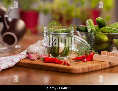 La preparazione di cetrioli sottaceto in cucina. Debica, Polonia Foto Stock