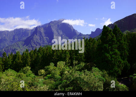 Coperta di neve vertice del Piton des Neiges e vegetazione forestale all'interno di Cirque de Cilaos, isola della Réunion, Francia Foto Stock