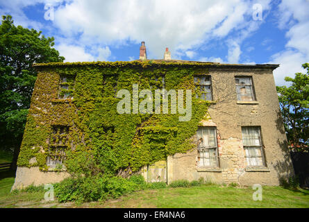 Vegetazione ed edera che cresce su sala vuota vicino a Leeds Yorkshire Regno Unito Foto Stock