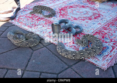 I serpenti in 'DJeema el fnaa' - La frenetica Marrakech piazza del mercato Foto Stock